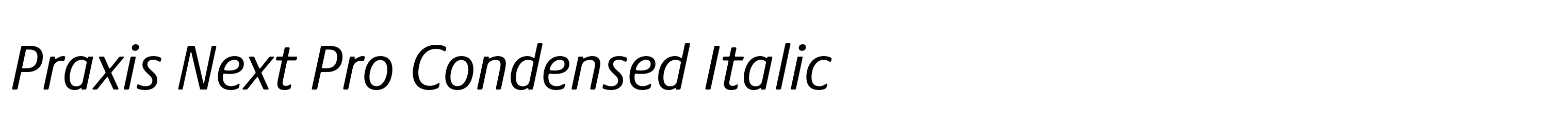 Praxis Next Pro Condensed Italic